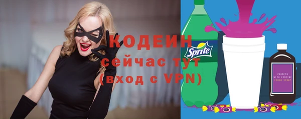 МДПВ Елабуга