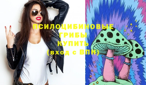 МДПВ Елабуга