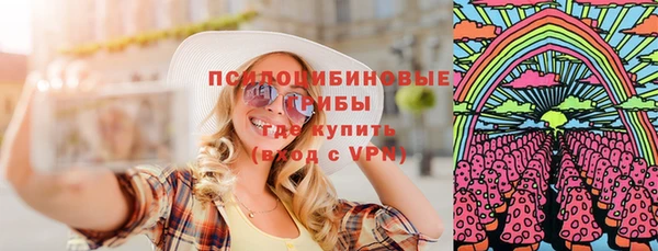 МДПВ Елабуга