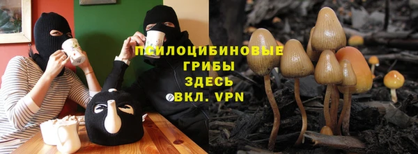МДПВ Елабуга