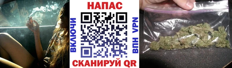 Каннабис гибрид  Павловская 